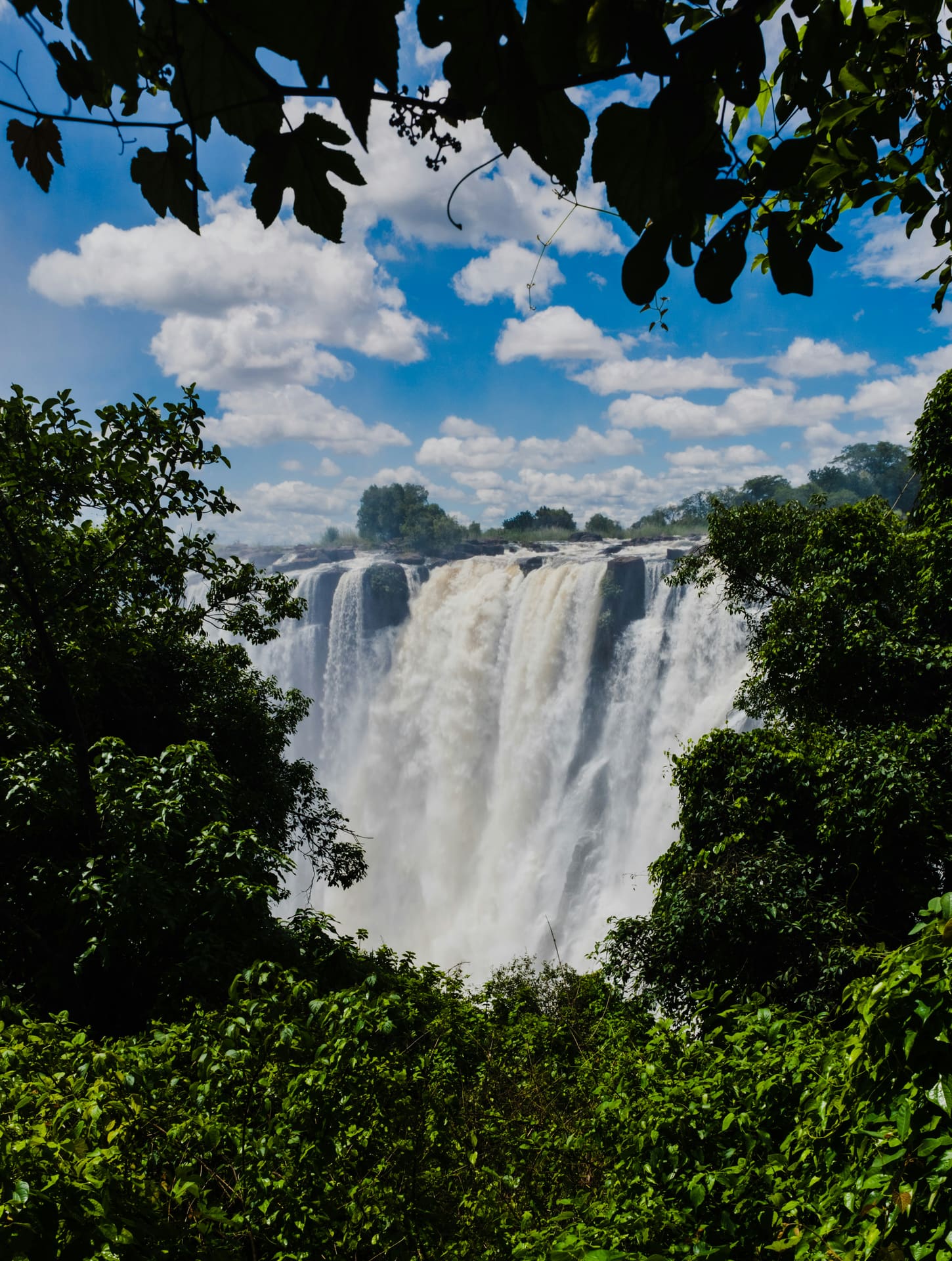 Victoria Falls seen from the rainforest on the Zambezi